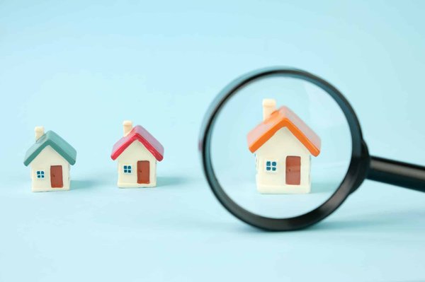 Comment se présente un diagnostic complet de la capacité locative d'un locataire immobilier ?