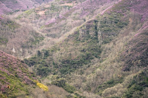 Assurance vie et contrat de mariage : quelles implications pour le bénéficiaire ?